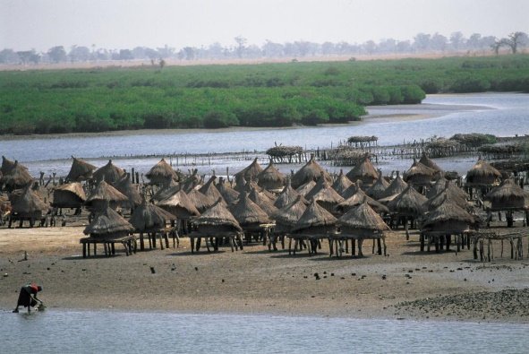 Îles du Saloum & Joal-Fadiouth