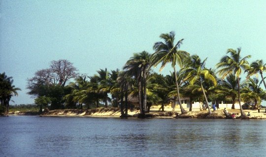 Îles du Saloum — Journée